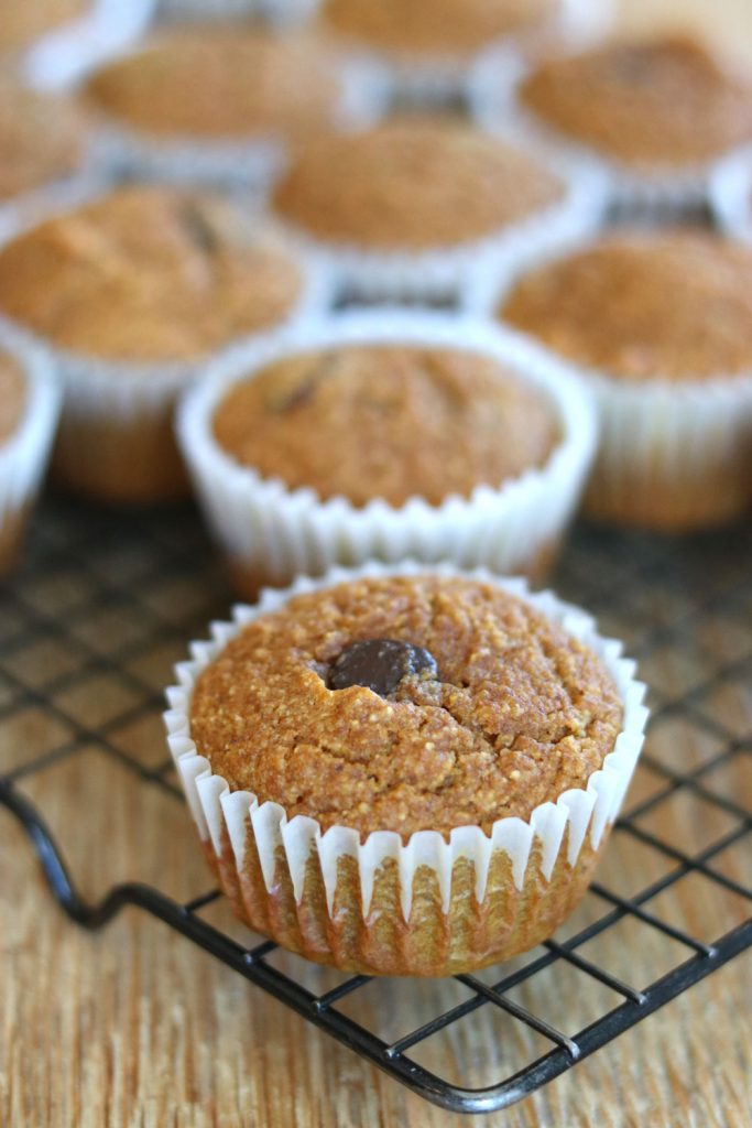 healthy pumpkin chocolate chip muffins on a cooling rack